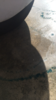 IMG_7727.PNG