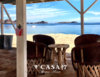 5-Bay-and-palapa-logo.jpg