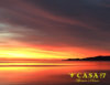 20-Sunrise-logo.jpg