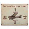 4forces.jpg