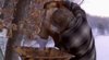 wood chipper.jpg wood chipper.jpg