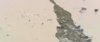 35B826BD-EBF3-412A-BD10-BF880BBAEE4D.jpeg
