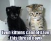 savethreadkittens.jpg