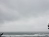 20190325_143355.jpg