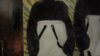 20190309_141131.jpg