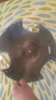 20190423_145035.jpg 20190423_145035.jpg