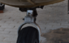 upload_2019-5-8_18-5-24.png upload_2019-5-8_18-5-24.png