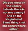 canary islands.jpg
