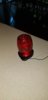 20190608_063336.jpg