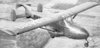 69F80F36-2E2A-4BED-A082-D87EC090C515.jpeg