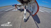 Nose Takeoff 2 logo.jpg