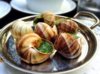 snails.jpg