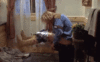 69E4700C-9F52-4BE7-9EA0-8447E4522C59.gif