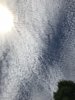 A1858005-2A3B-40DE-B526-82C09D49E09B.jpeg
