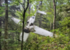 Screenshot_20190822-222226.png