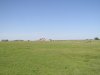 P1010115.JPG