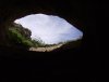 Cave swallows.JPG