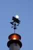 Fly to Moon_1.jpg