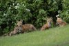 DSC_0067.JPG