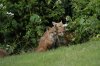 DSC_0068.JPG