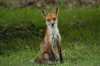 DSC_0081.JPG