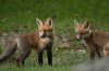 DSC_0087.JPG