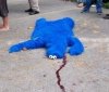 cookie_monster_dead.jpg