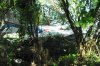 DSC_0473.JPG