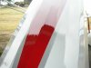 back stripe 1.JPG