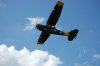 DSC_0821.JPG