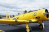 DSC04549.JPG