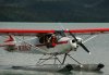 DSC_2174-small.jpg