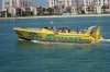sea screamer.JPG