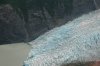 DSC_2224-small.jpg