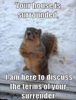 Squirrel.jpg Squirrel.jpg
