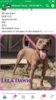 0E264888-5177-49A3-804F-B0C3BB6D5640.jpeg 0E264888-5177-49A3-804F-B0C3BB6D5640.jpeg