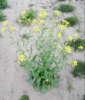 upload_2019-10-2_9-58-7.png