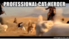 Screenshot_20191102-100107.png Screenshot_20191102-100107.png