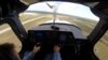 BirdStrike4.jpg BirdStrike4.jpg