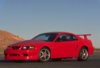 cobra r.jpg cobra r.jpg