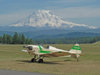 rainier3.jpg