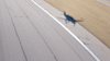 GearUp-Animated GIF.gif GearUp-Animated GIF.gif