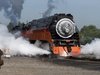 Train 2 003.jpg