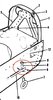 Aft Tiedown Mount.jpg