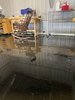 flood - 2.jpg