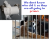 CatPrison2.png