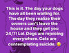 Corona Dogs and Cats.jpg