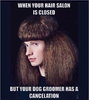 Covid haircut.jpg