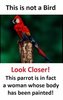 2F28BDDF-D36A-43A0-A1B5-E2D93038A6BA.jpeg