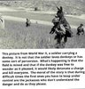 donkey.jpg
